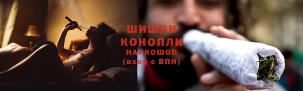PSILOCYBIN Магадан