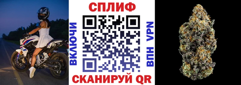 Купить где  Копейск  Марихуана сатива 